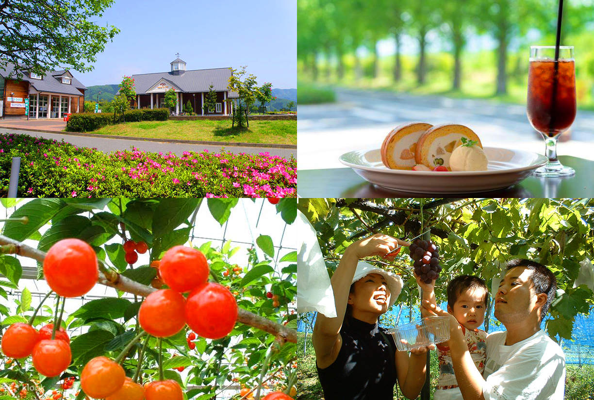 滋賀・びわ湖牧場日帰りツアー|